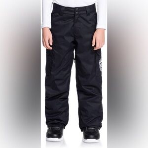 DC BOYS BANSHEE SNOWBOARD PANTS